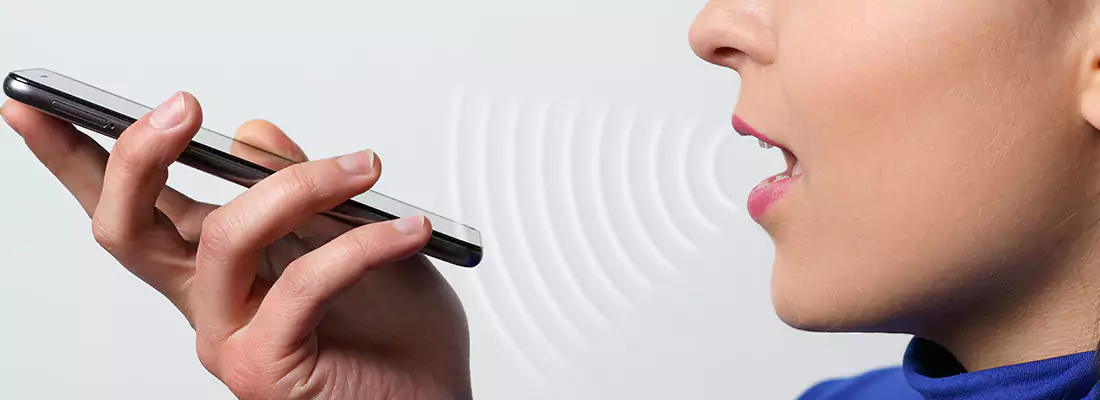 Residential and Commercial Voice Recognition Access Solutions in St. Petersburg, FL